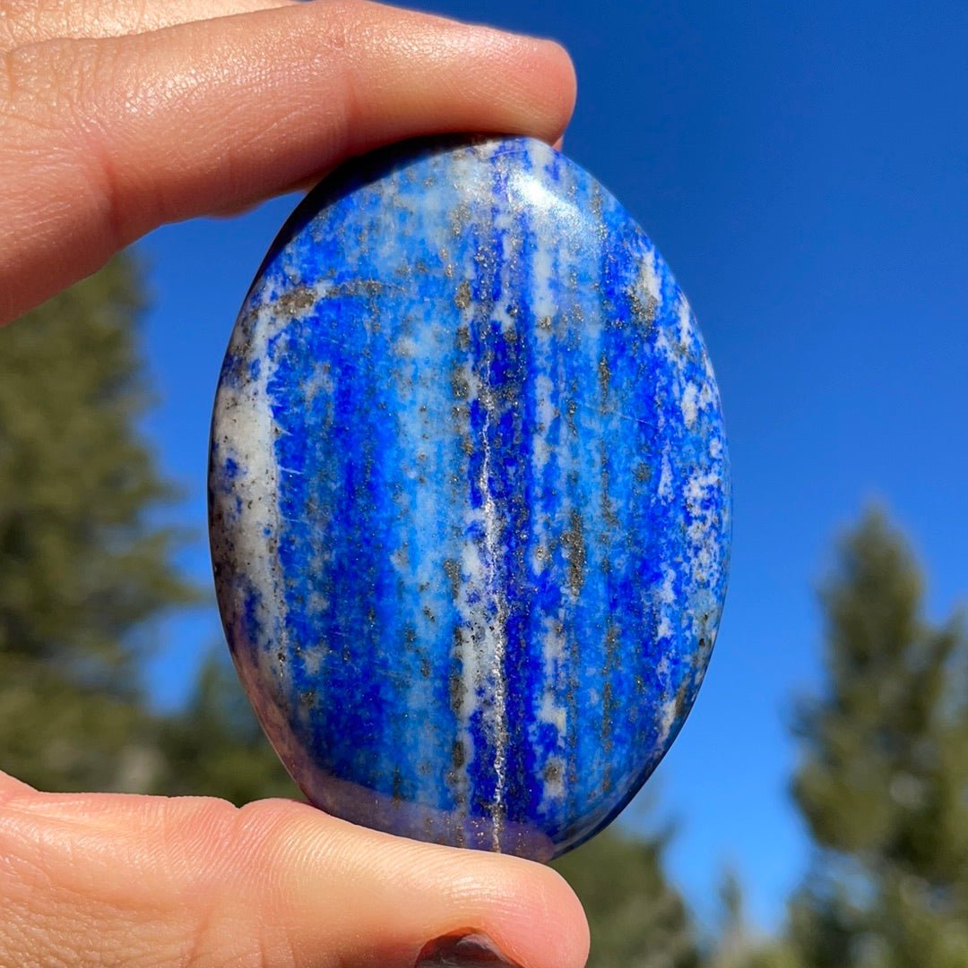 Lapis Lazuli Palm - 19 - Starseed Collective
