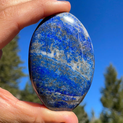 Lapis Lazuli Palm - 28A - Starseed Collective