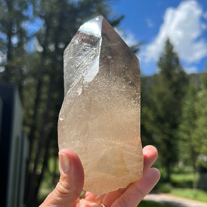 Lemurian Citrine Free Form - 377 - Starseed Collective