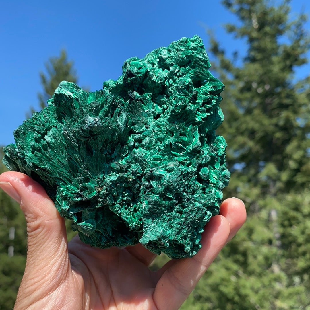 Malachite Free Form - 272 - Starseed Collective