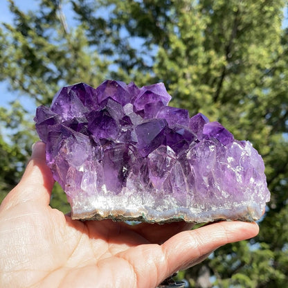 Purple Amethyst Cluster - 206 - Starseed Collective