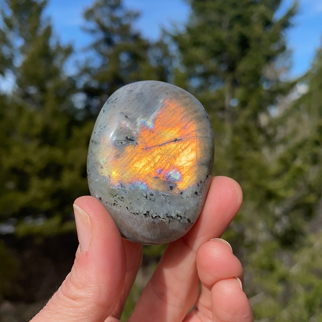 Purple Labradorite Palm - 12B - Starseed Collective