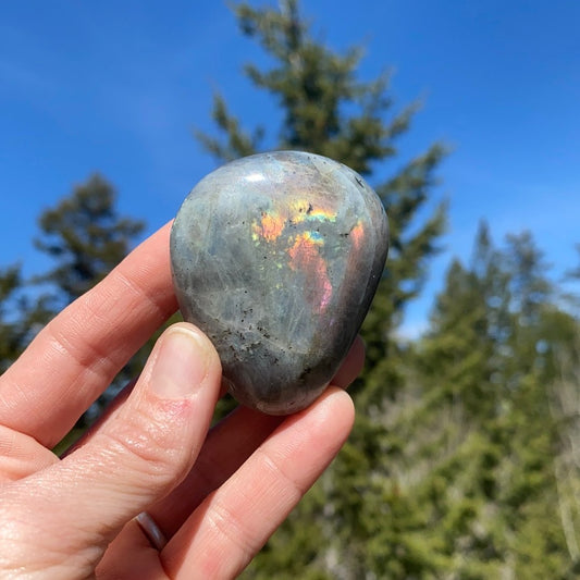 Purple Labradorite Palm - 17 - Starseed Collective