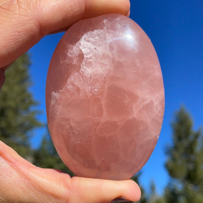 Rose Calcite Palm - 21 - Starseed Collective